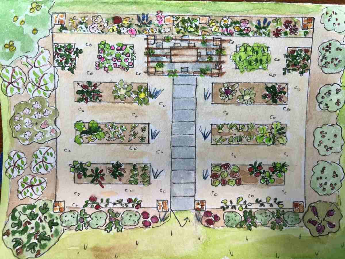 vegetable garden design drawing